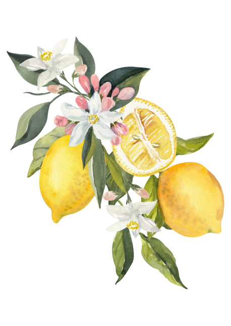 lemons2